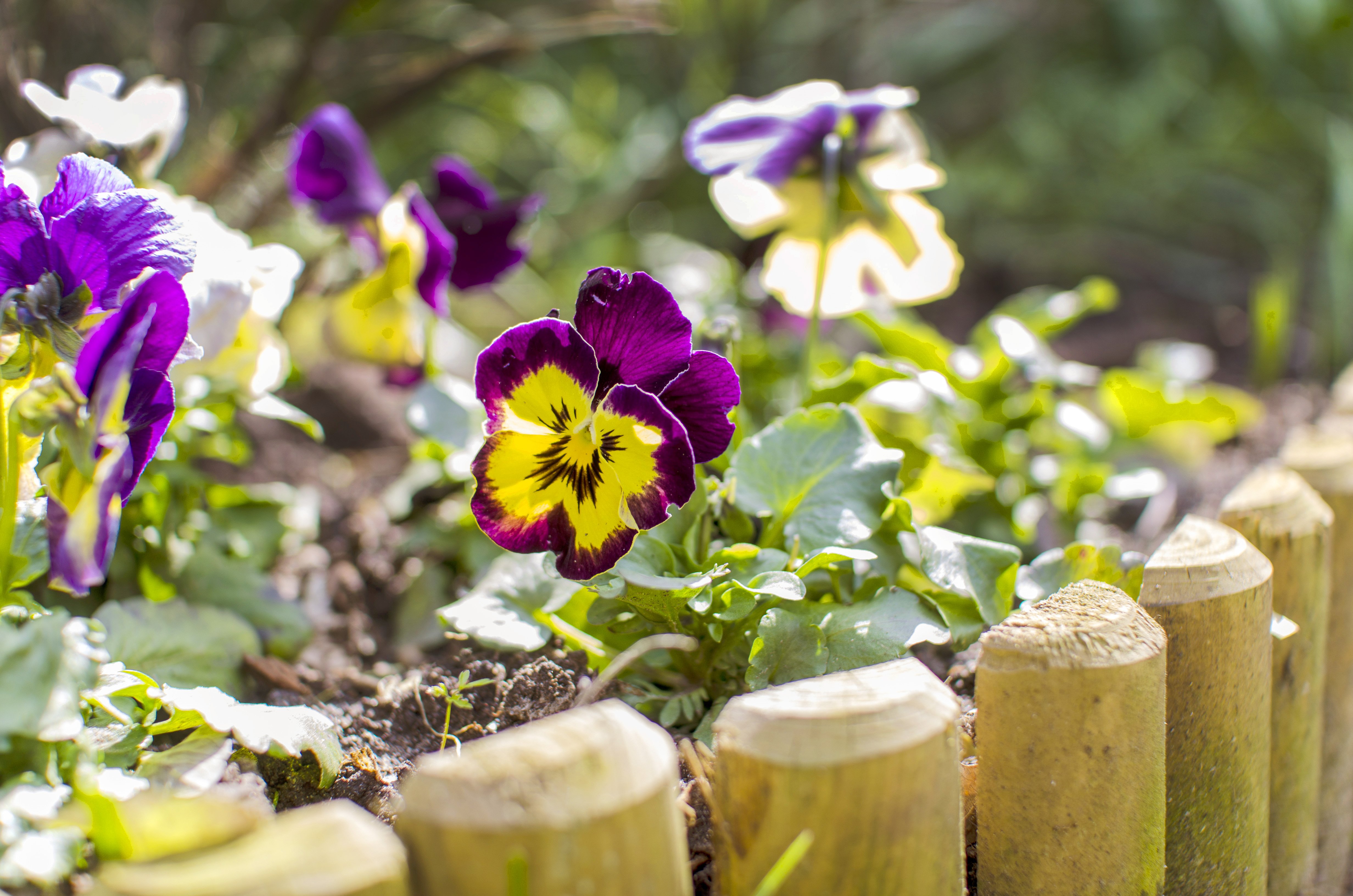 10 Edging Ideas for Flower Beds, Gardens and Landscaping Angie's List